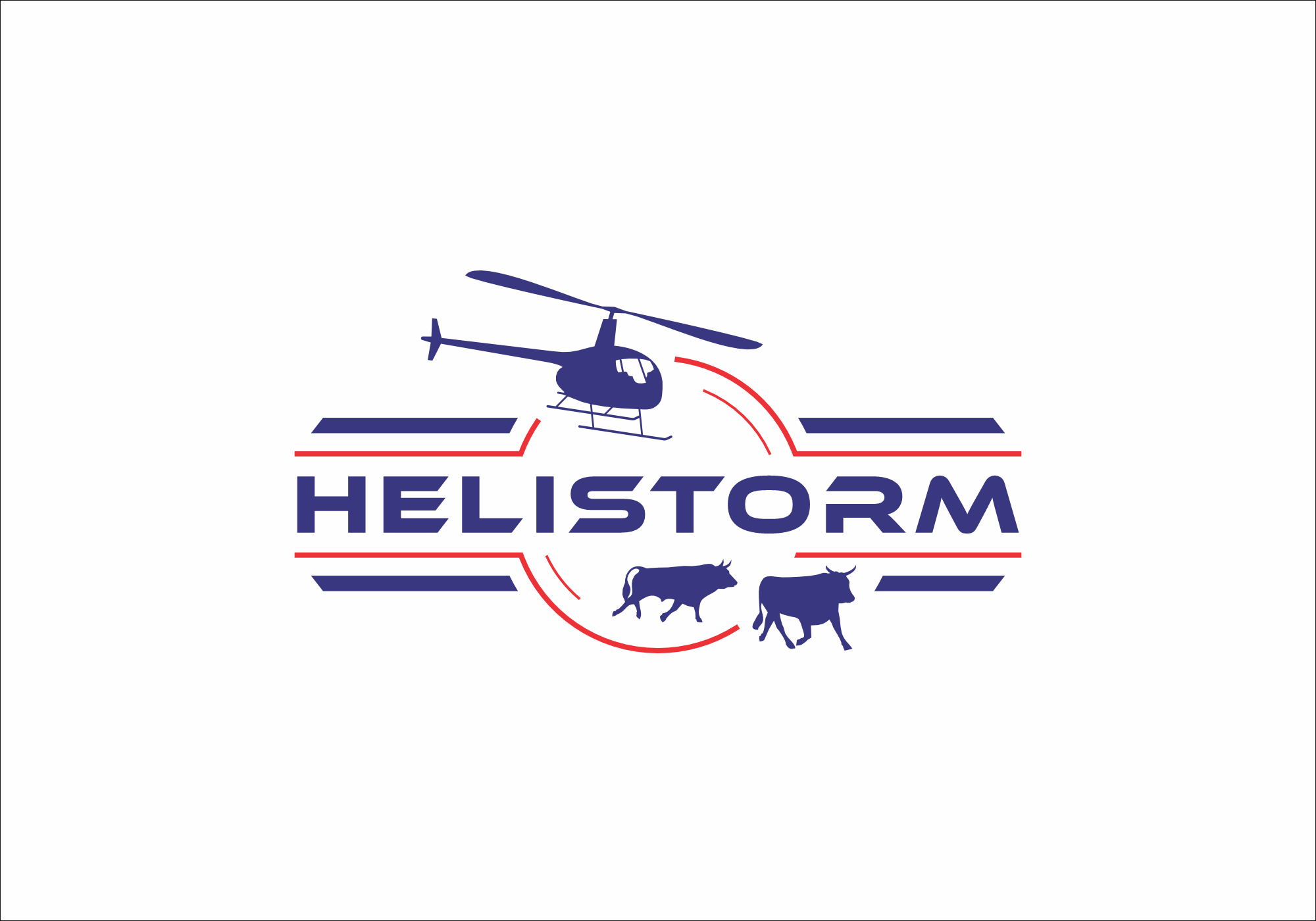 Logo Design by Asim H. Designs for HELISTORM PTY LTD | Design #36424633