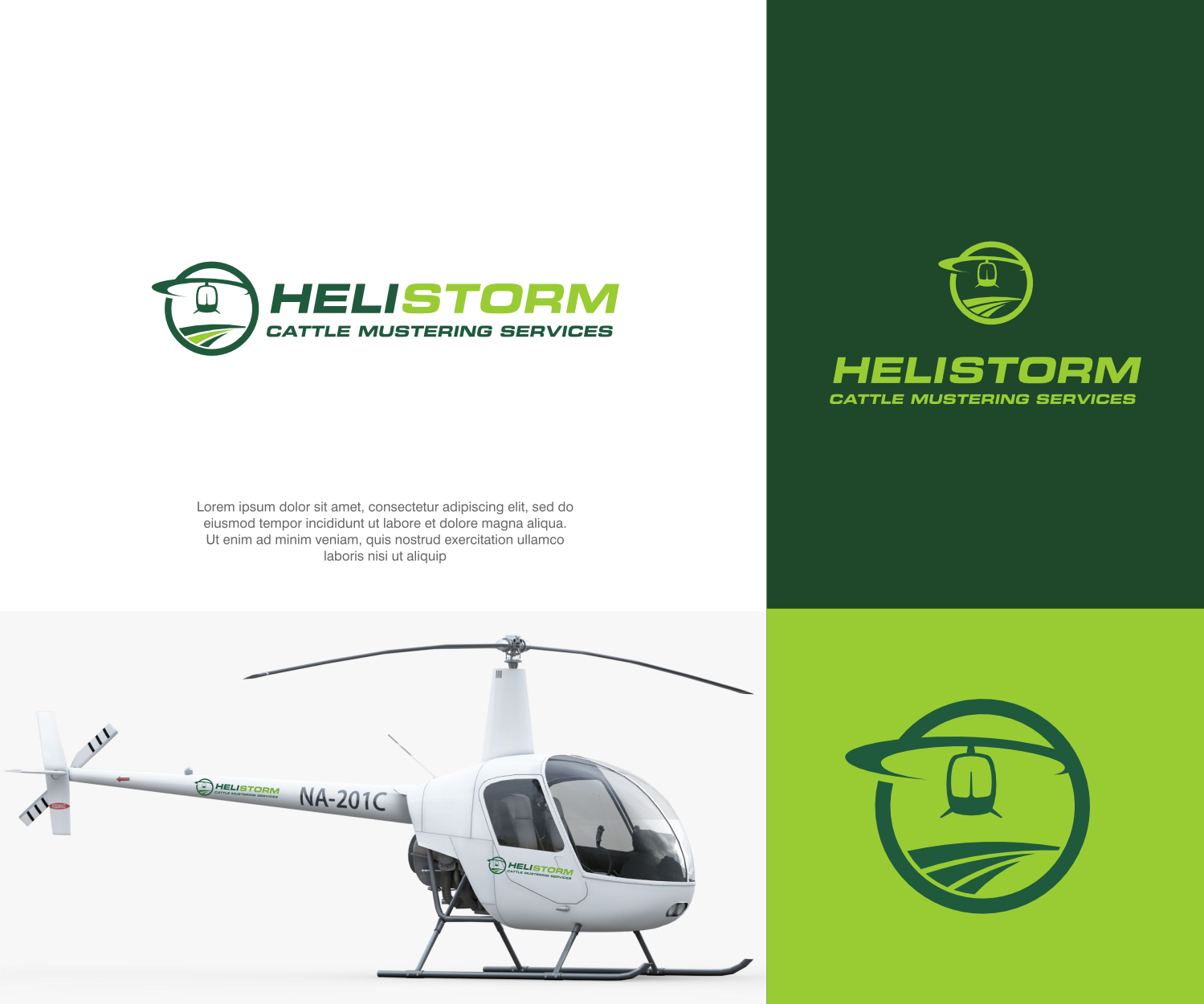 Logo Design by ThiagoB for HELISTORM PTY LTD | Design #36395606