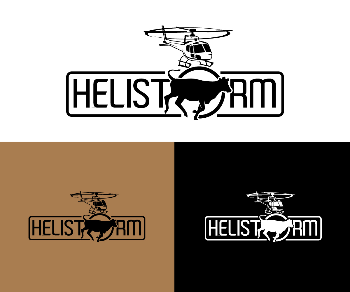 Logo Design by Ansh Design for HELISTORM PTY LTD | Design #36394184