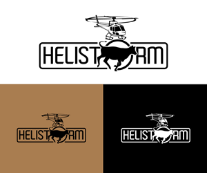 Logo Design by Ansh Design for HELISTORM PTY LTD | Design: #36394184