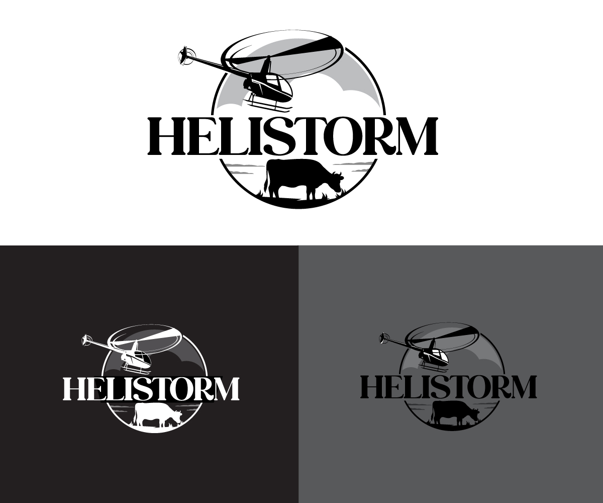 Logo Design by Ansh Design for HELISTORM PTY LTD | Design #36394185