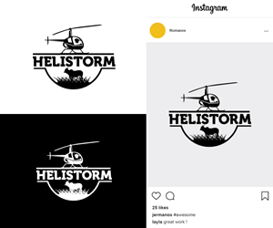 Logo Design by Ansh Design for HELISTORM PTY LTD | Design: #36394758