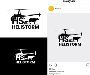 Logo Design by Ansh Design for HELISTORM PTY LTD | Design: #36394759