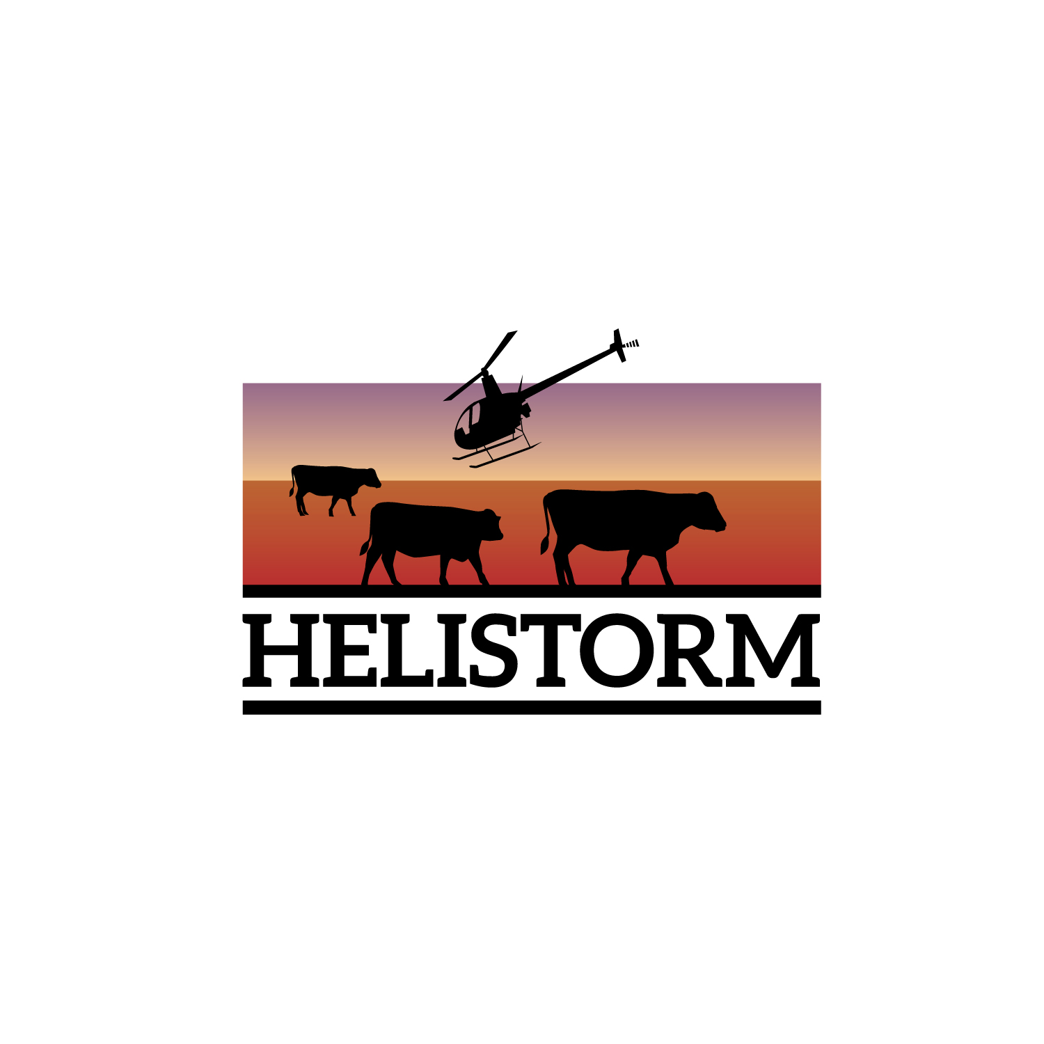 Logo Design by geni for HELISTORM PTY LTD | Design #36416458