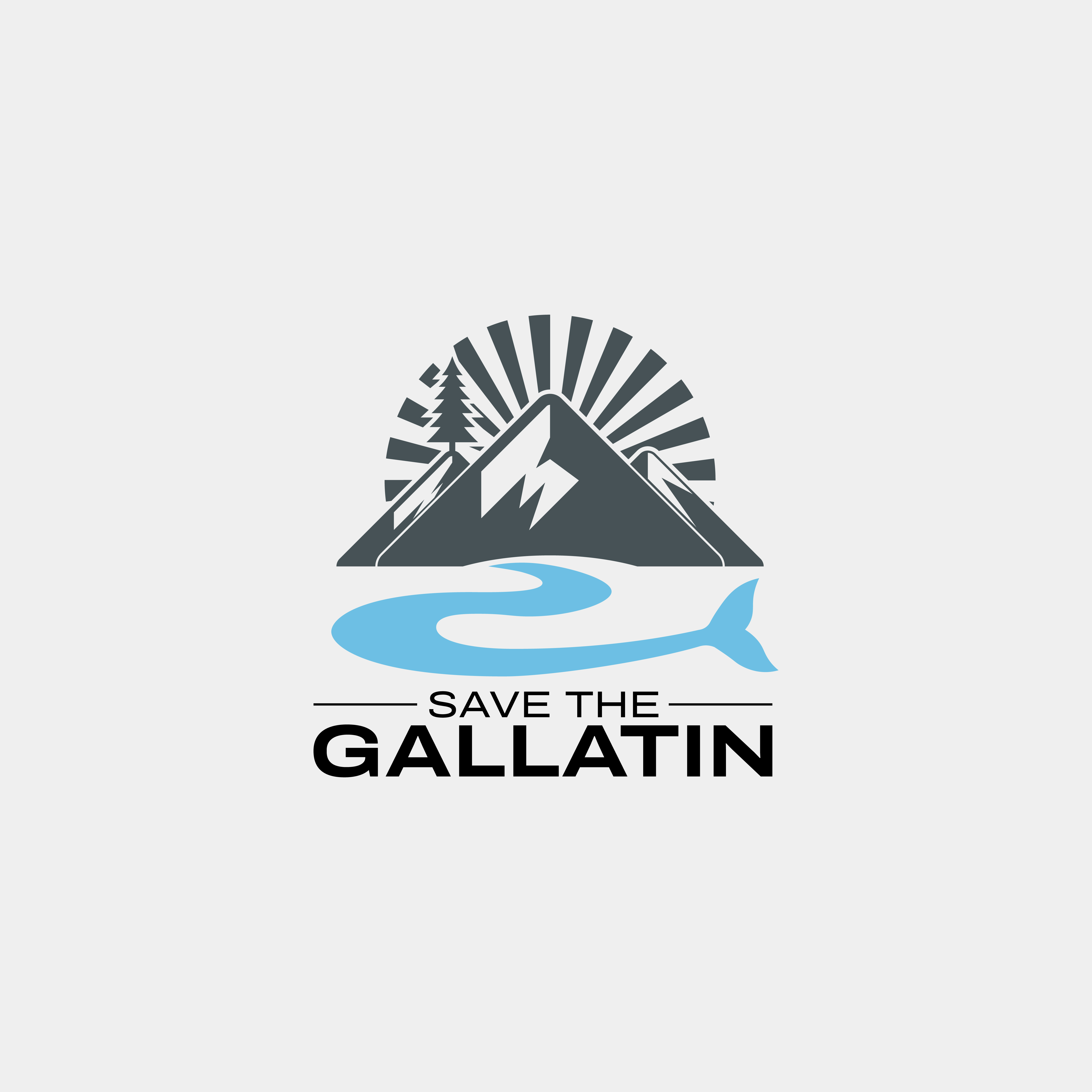 Logo Design by Daud Nadeem for this project | Design #36395330