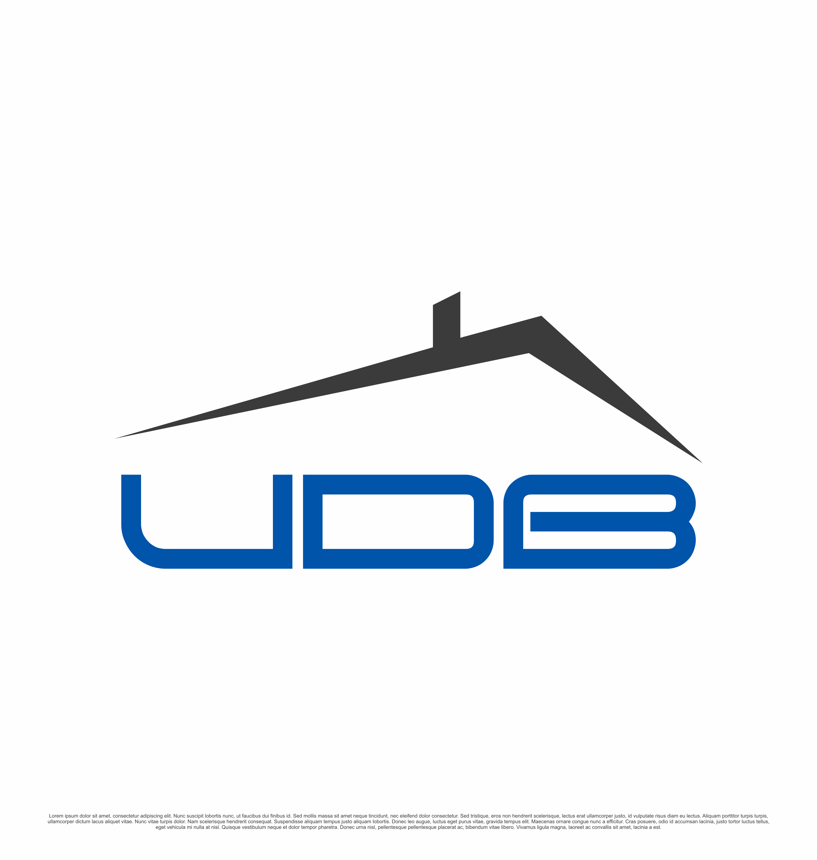 Logo Design by saesean for Vision Design Build LLC | Design #36409185