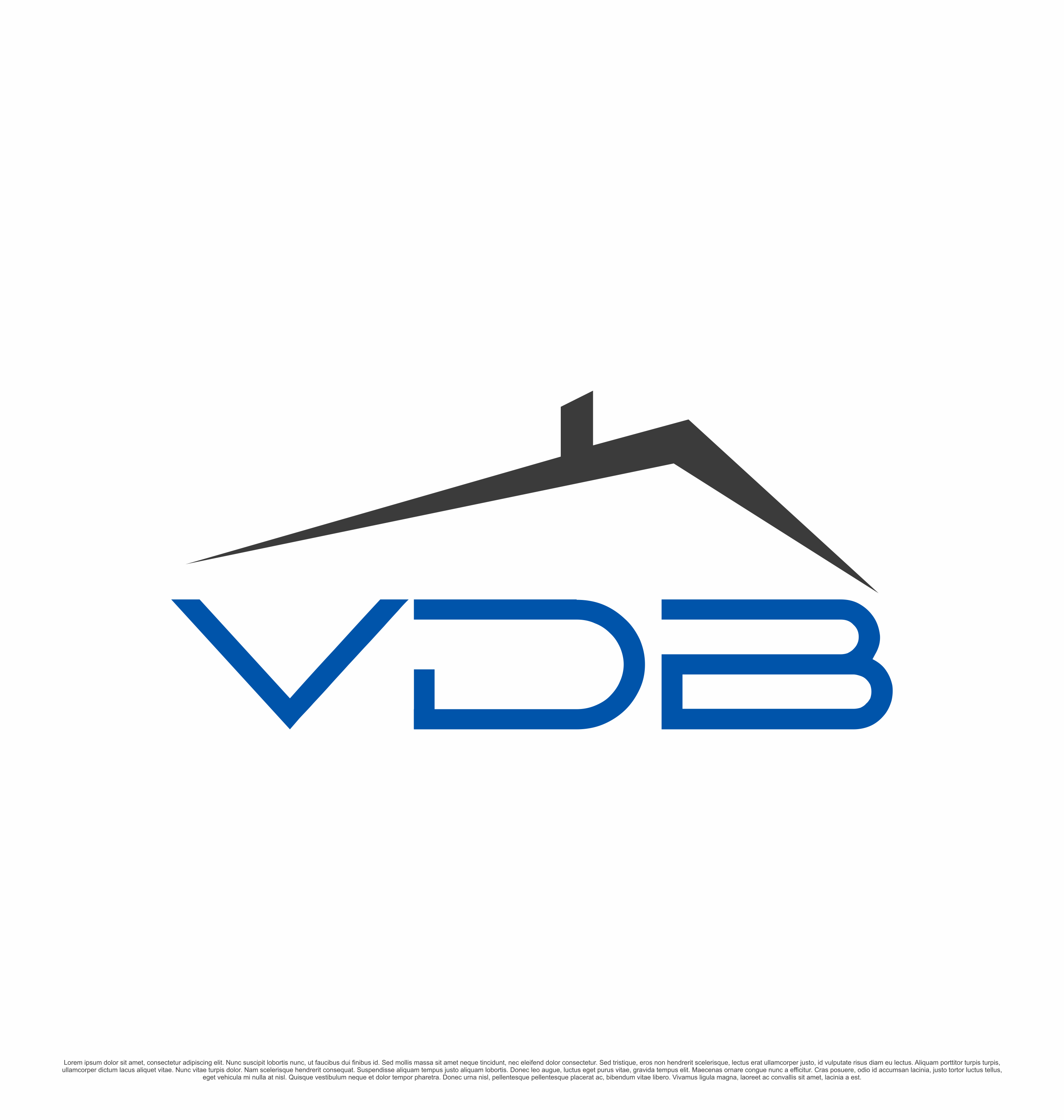 Logo Design by saesean for Vision Design Build LLC | Design #36409186