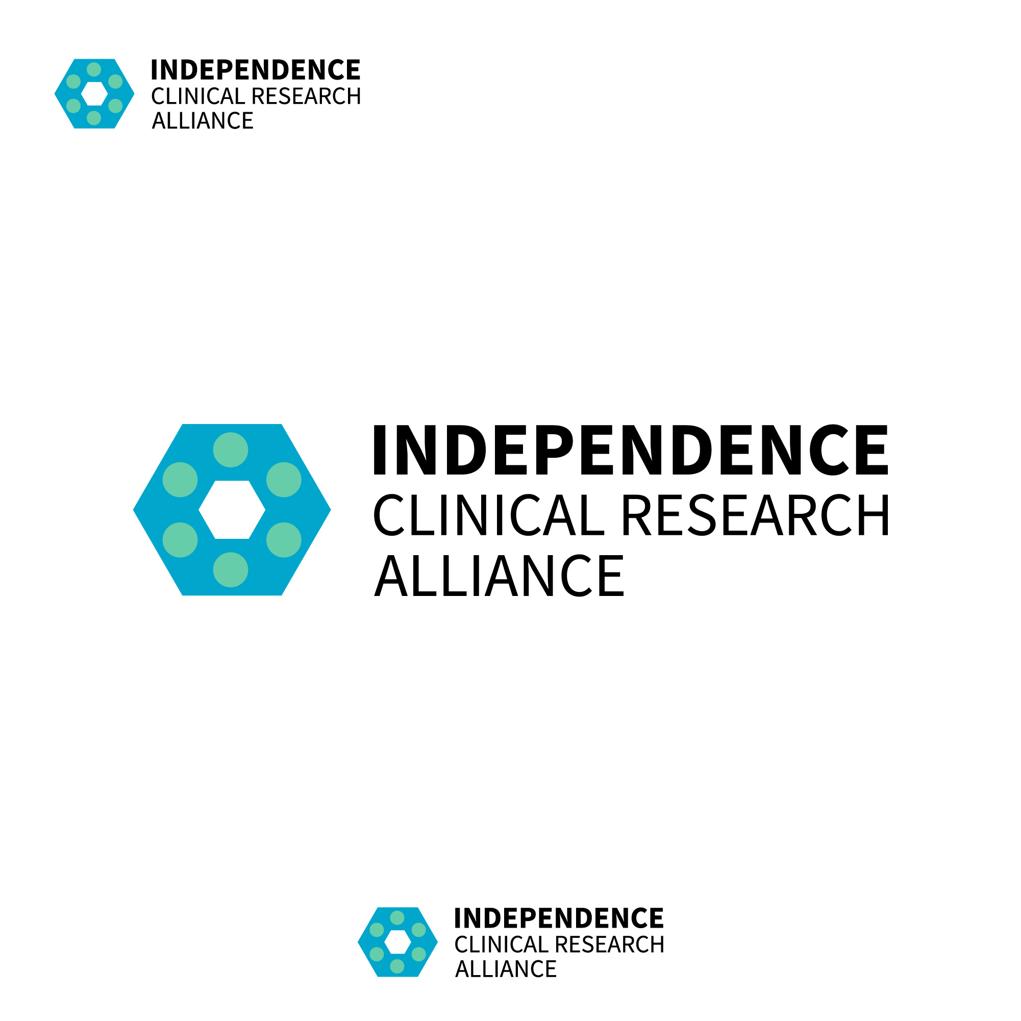 Logo Design by os96i for this project | Design #36436057