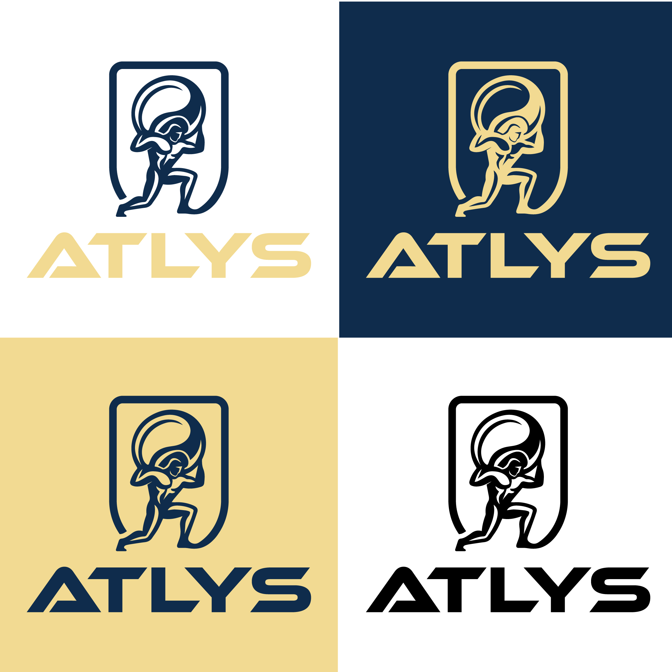 Logo Design by BANI GD for this project | Design #36411408