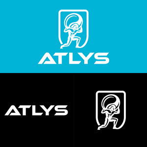 Diseño de Logo por BANI GD para este proyecto | Diseño: #36415062