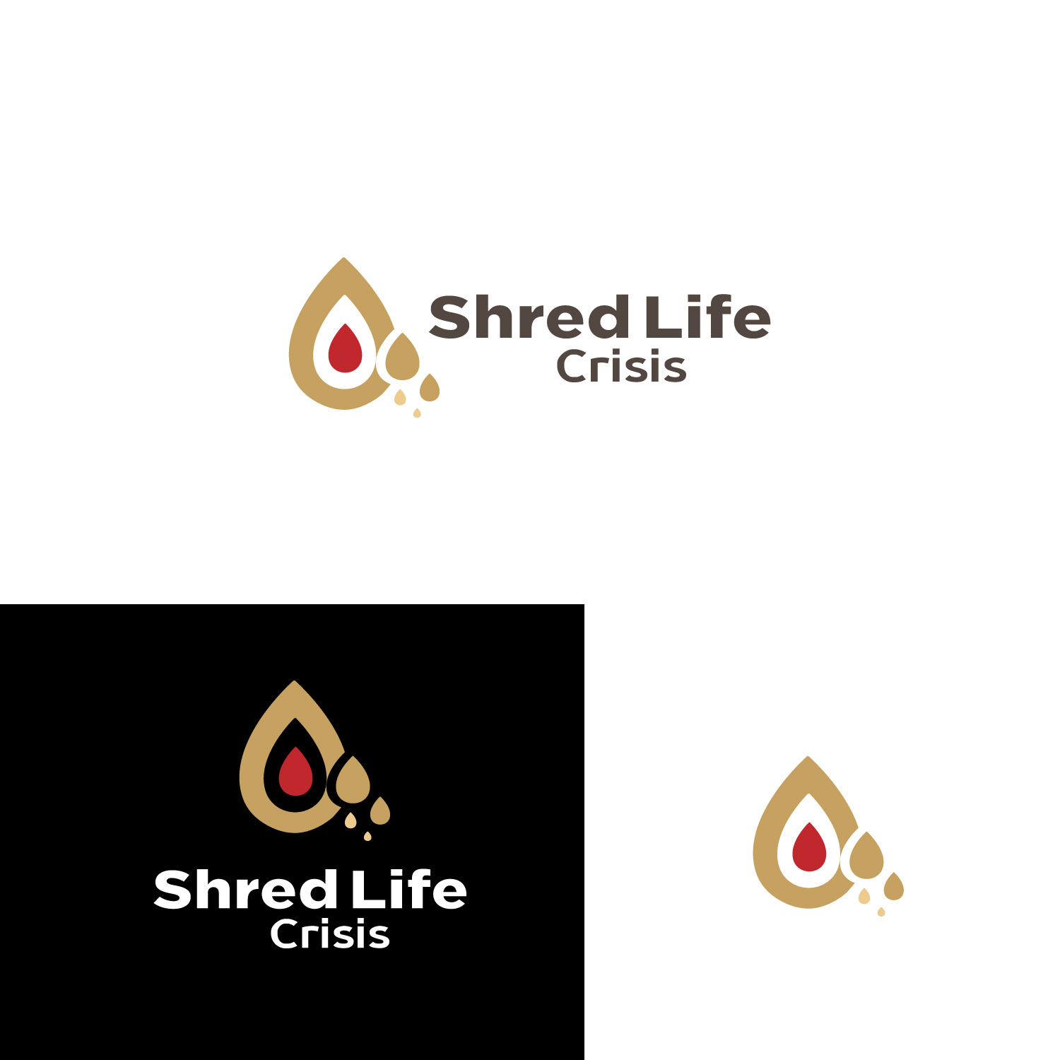 Diseño de Logo por Art_lv para este proyecto | Diseño #36436885