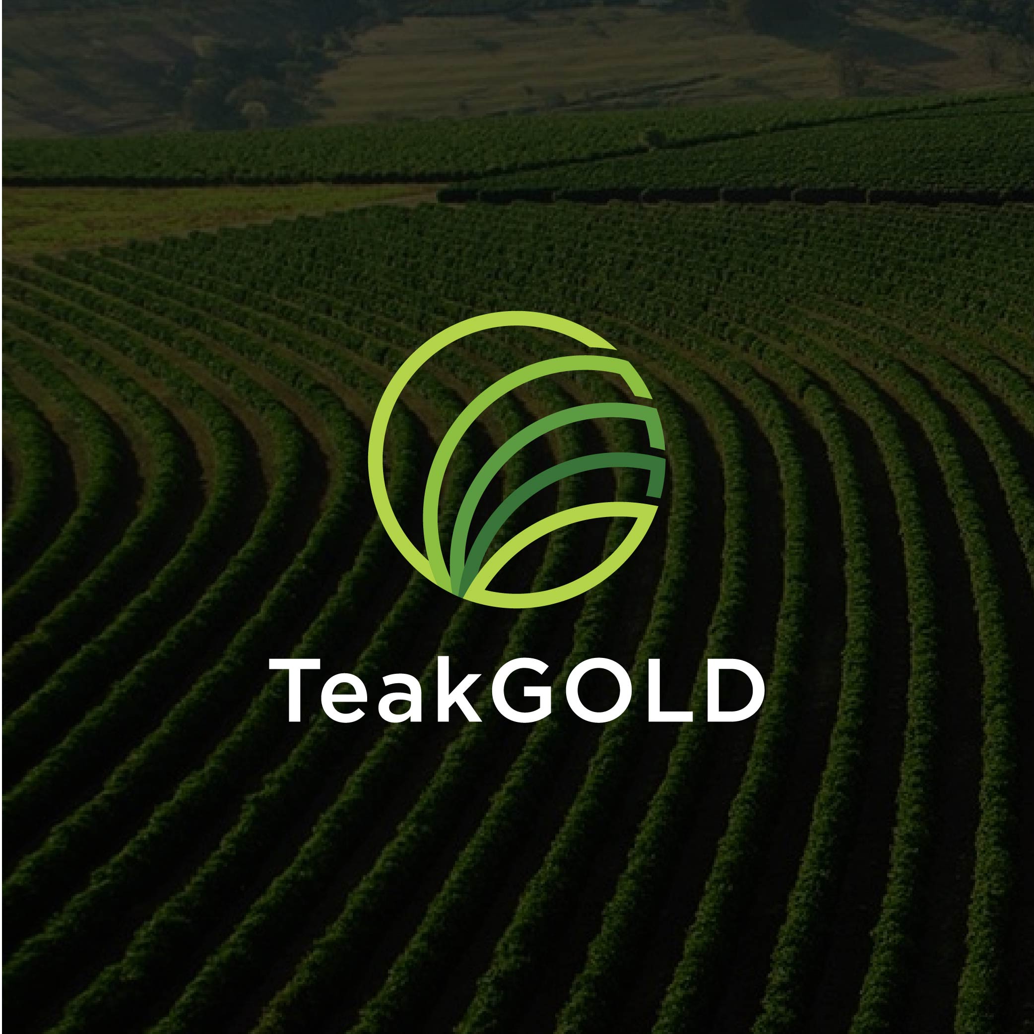 Logo Design by RIDITA for this project | Design #36417610