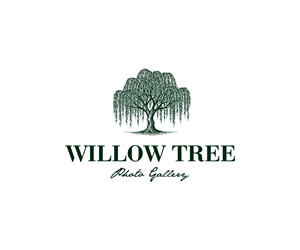 Design de Logo par Gasyary pour ce projet | Design : #36460605