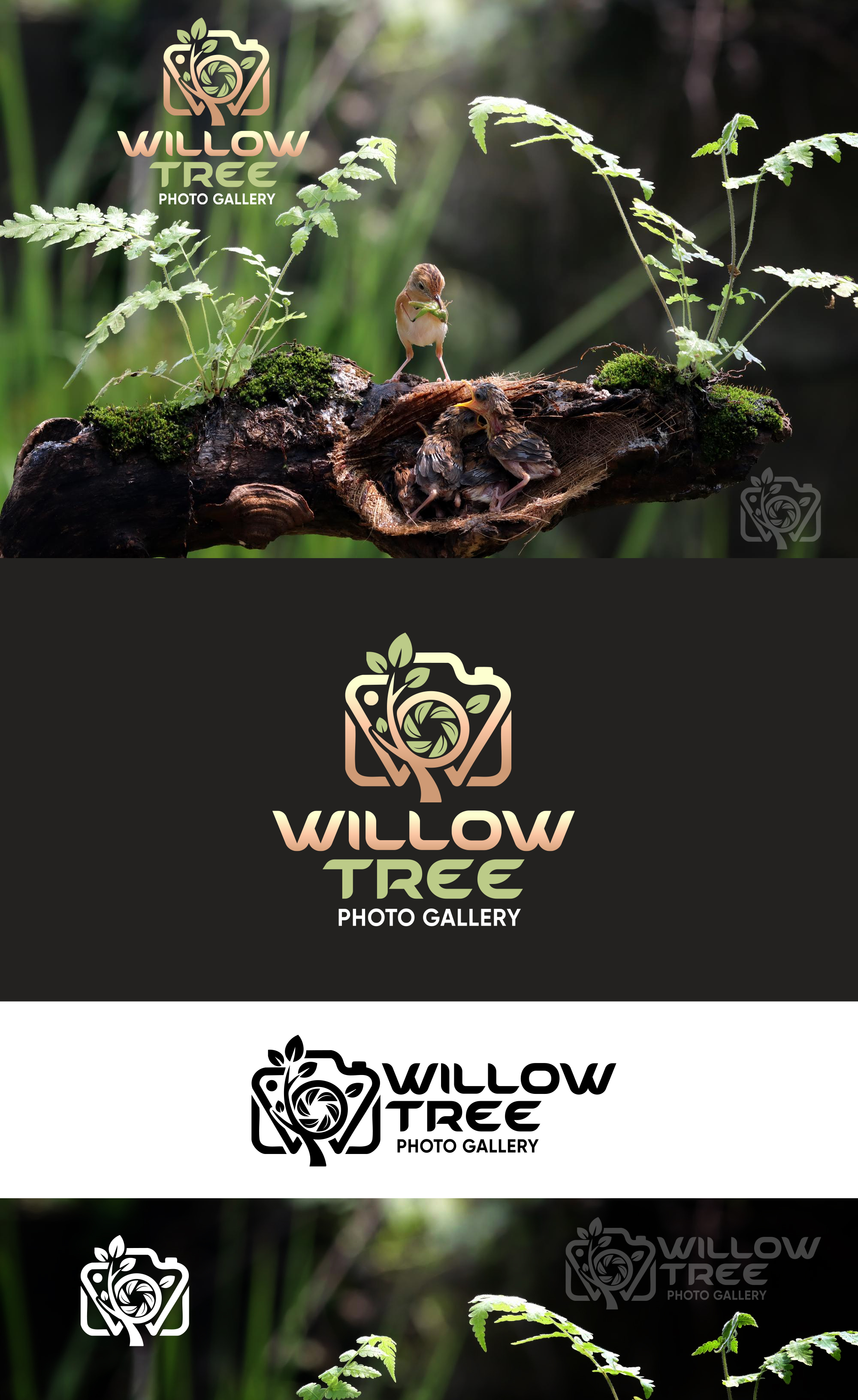 Logo Design by Jose Lopez ( Verified Pro Designer ) for this project | Design #36454563