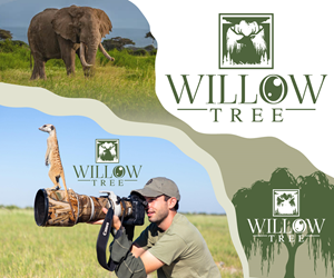 Logo-Design von Paint-Tools für dieses Projekt | Design #36427255