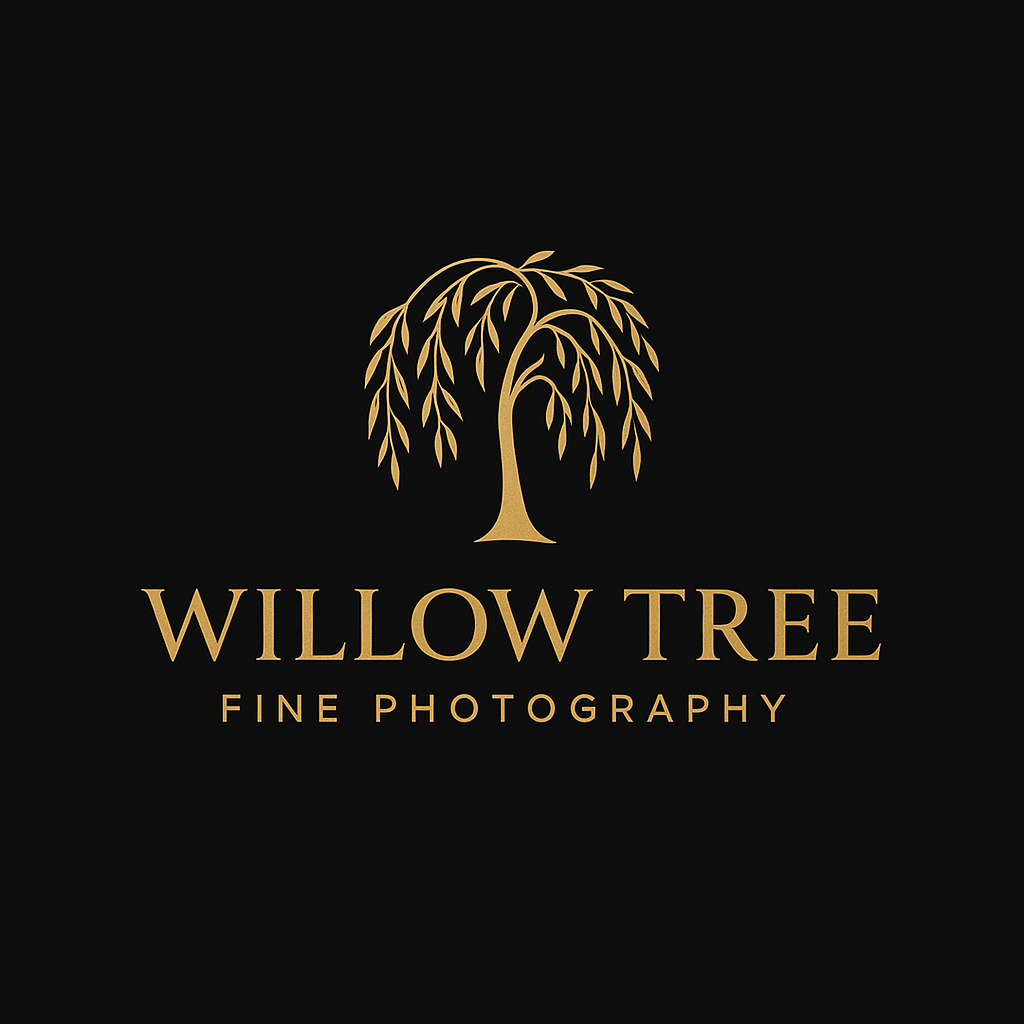 Logo Design by Casey Kelechi for this project | Design #36424774