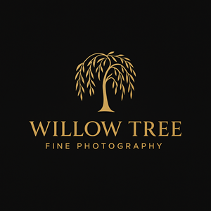 Logo Design by Casey Kelechi for this project | Design: #36424774