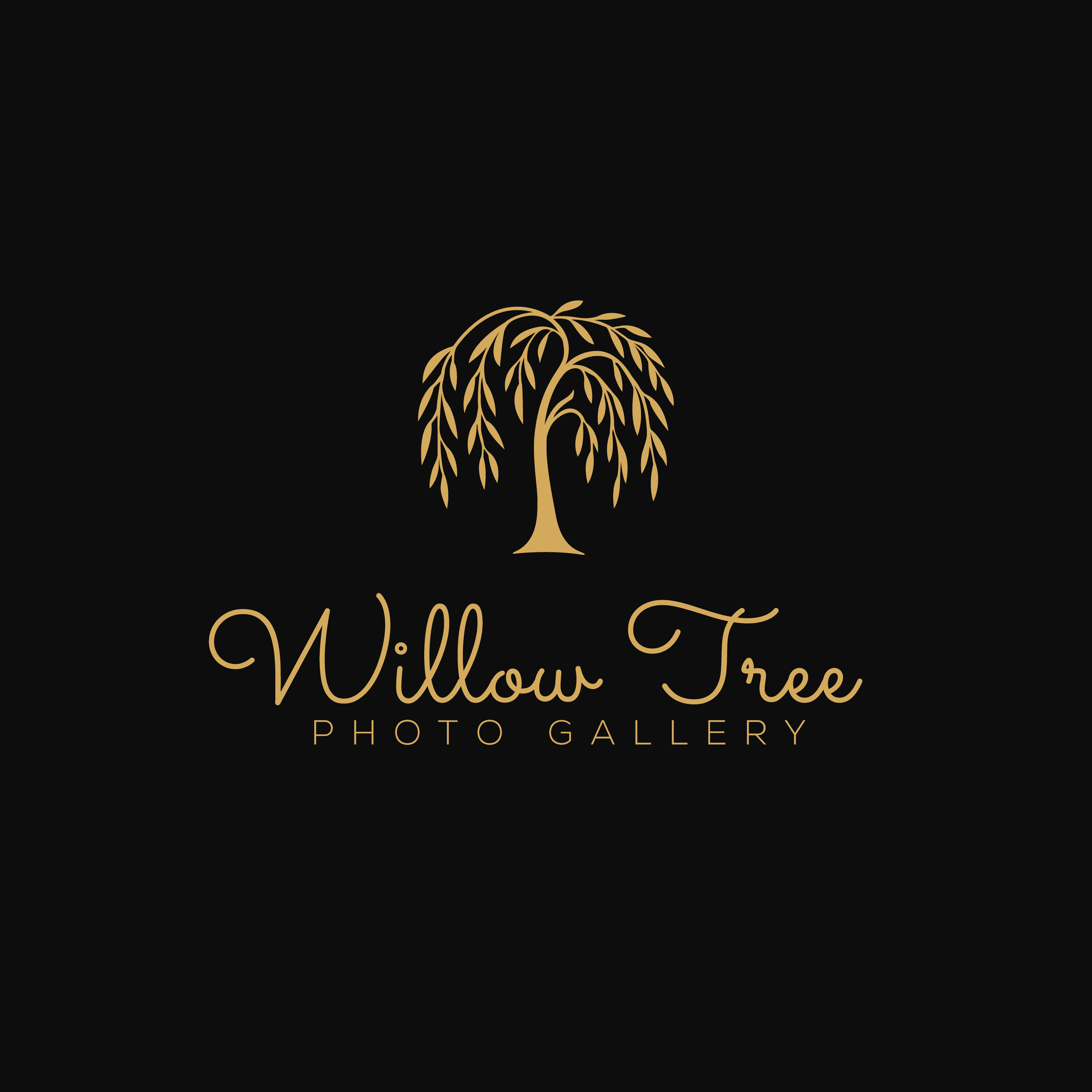 Logo Design by Casey Kelechi for this project | Design #36432502