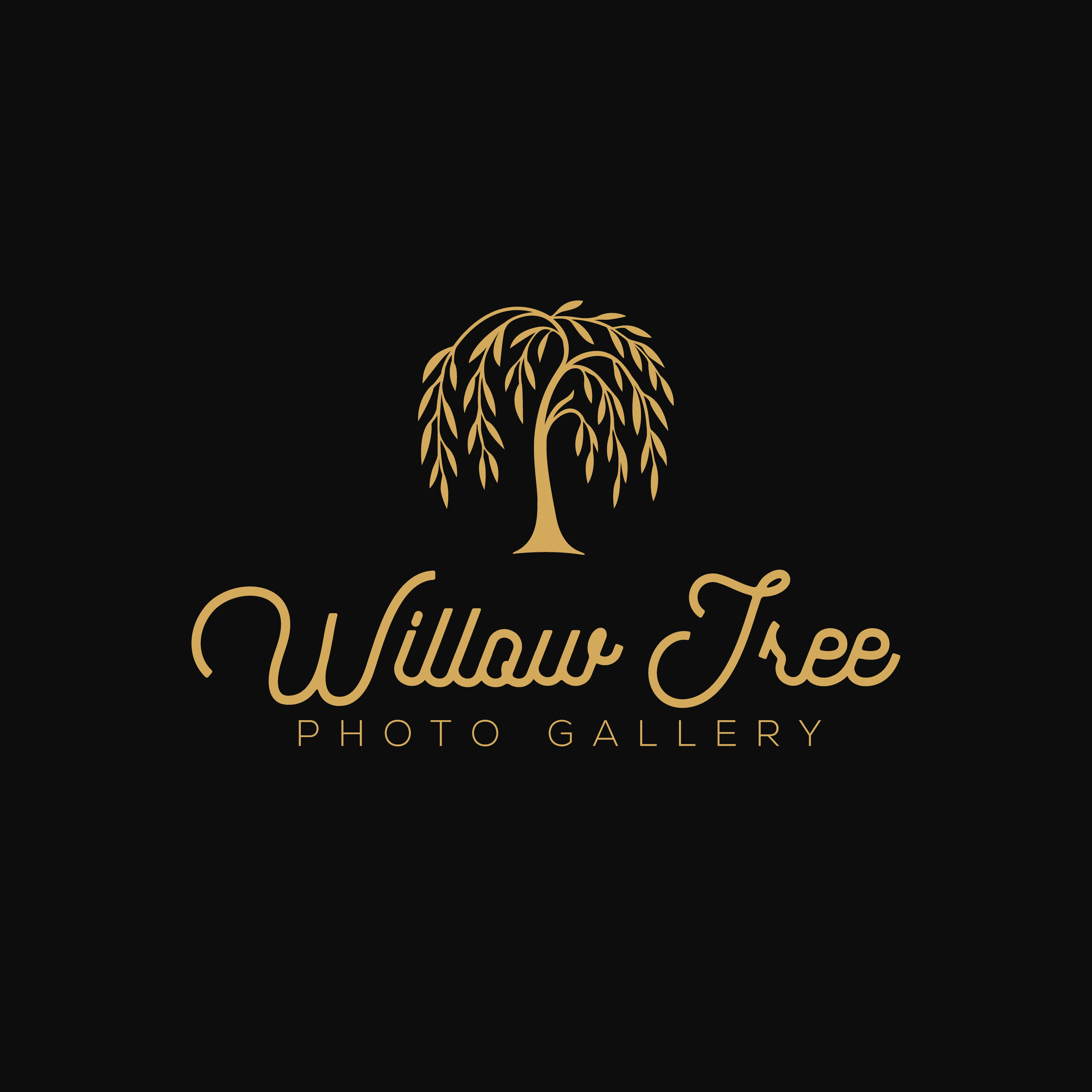 Logo Design by Casey Kelechi for this project | Design #36432503