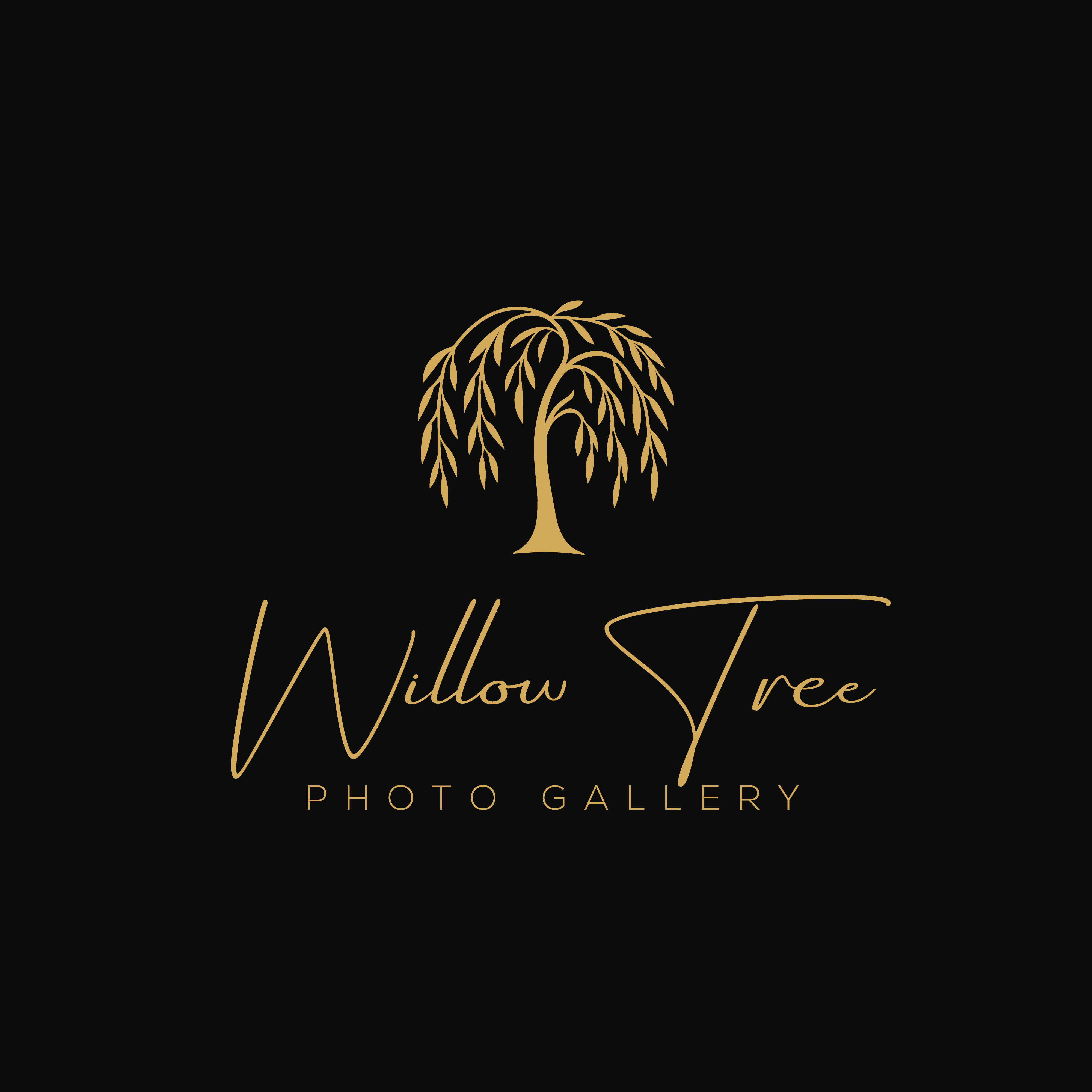 Logo Design by Casey Kelechi for this project | Design #36432504