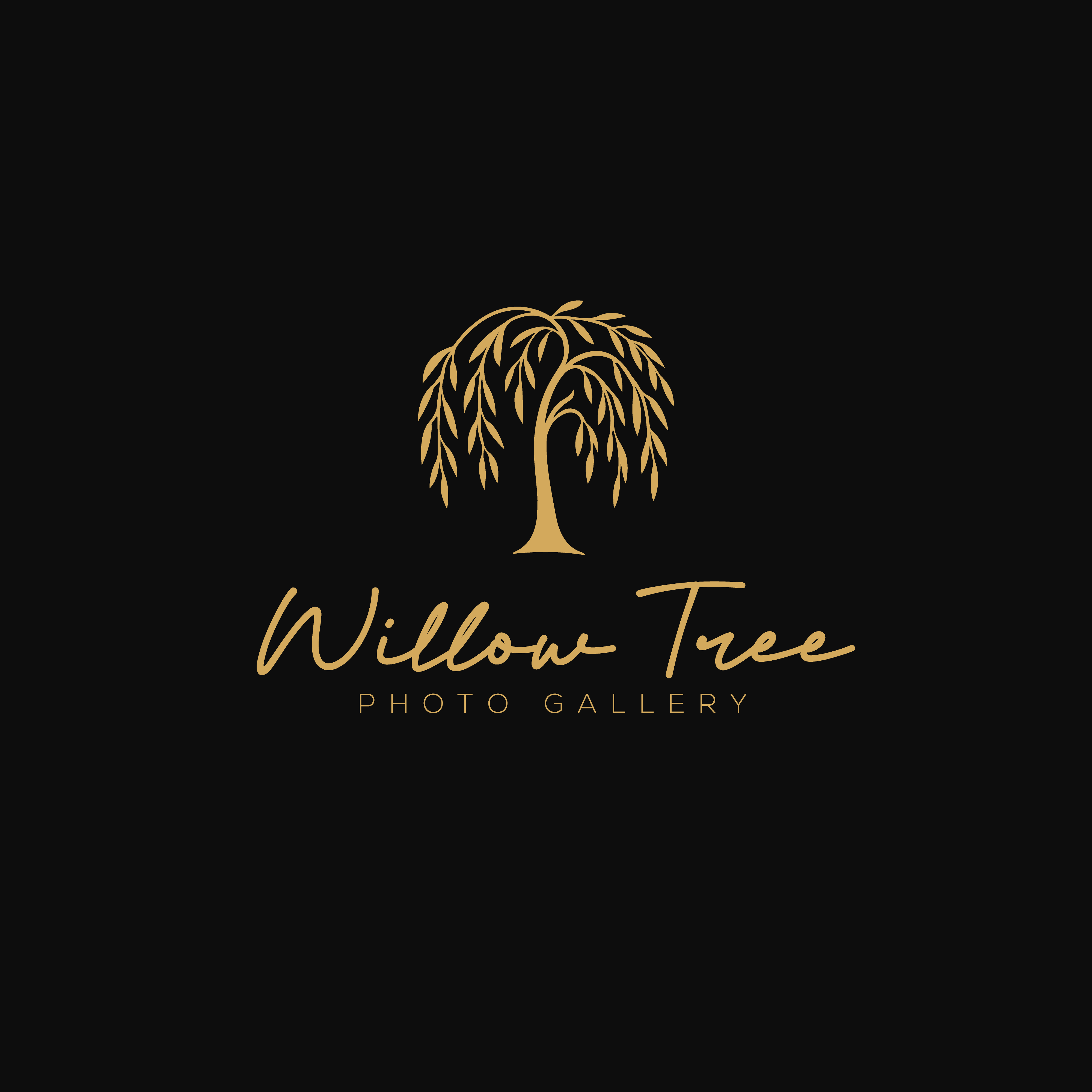 Logo Design by Casey Kelechi for this project | Design #36432505