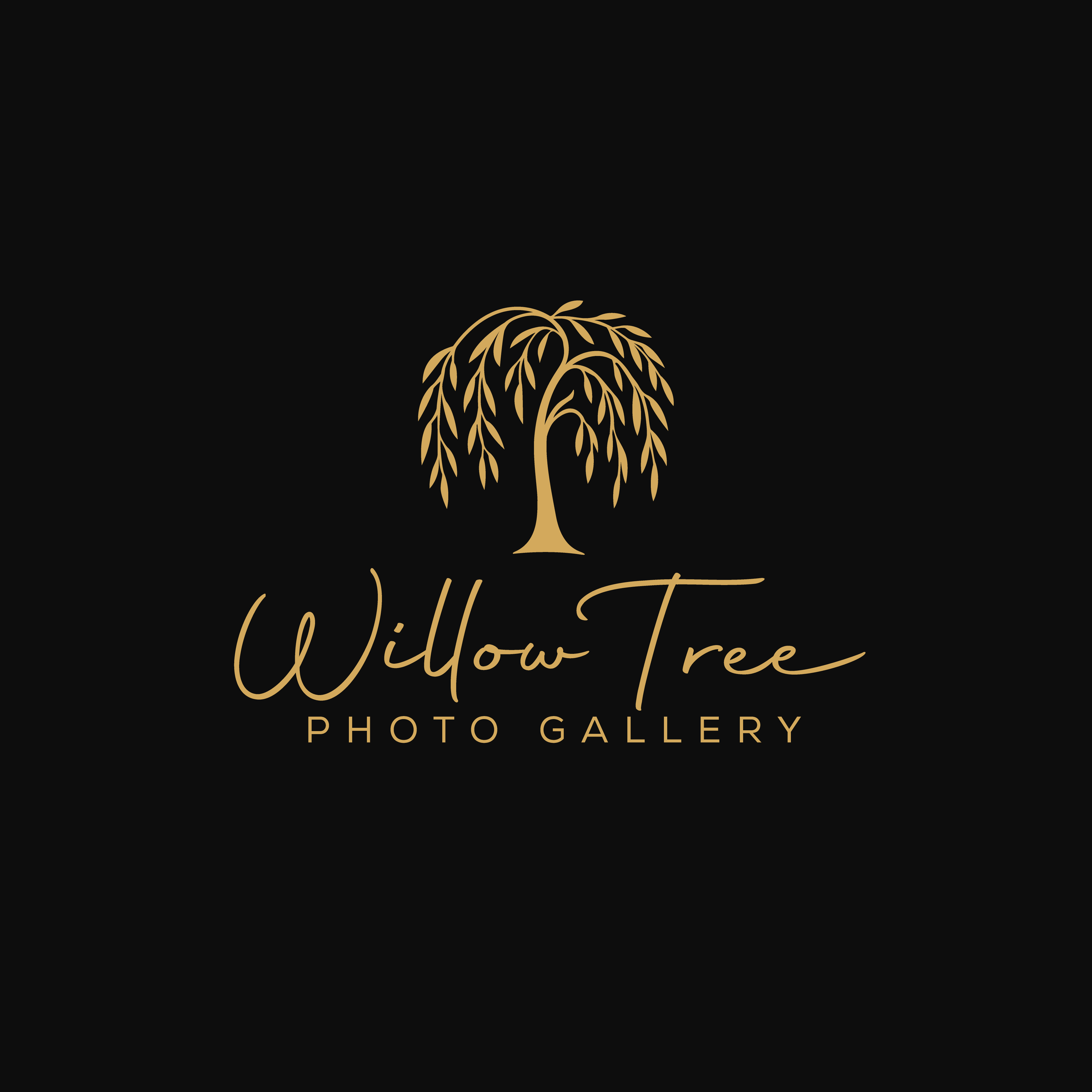 Logo Design by Casey Kelechi for this project | Design #36432506