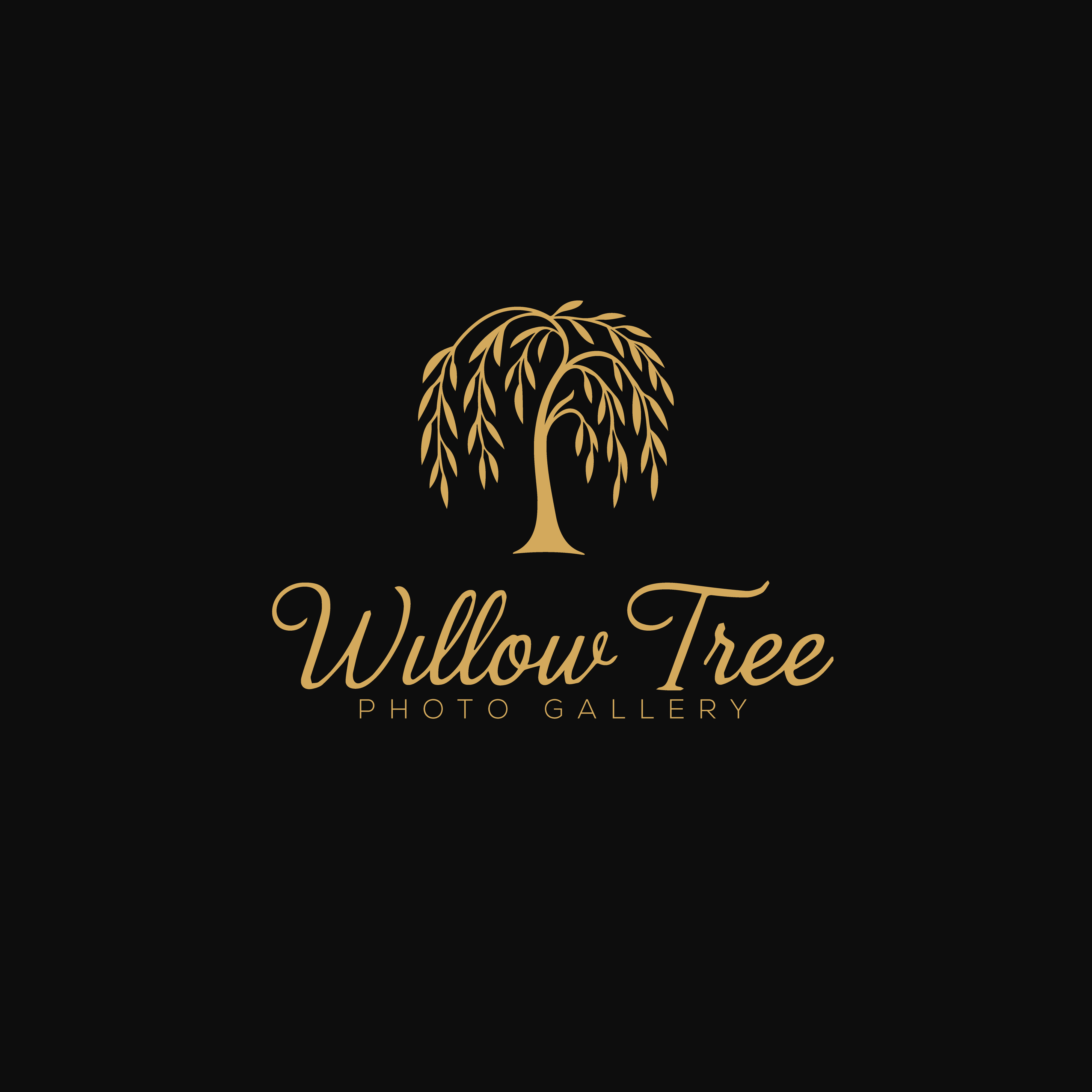 Logo Design by Casey Kelechi for this project | Design #36432509