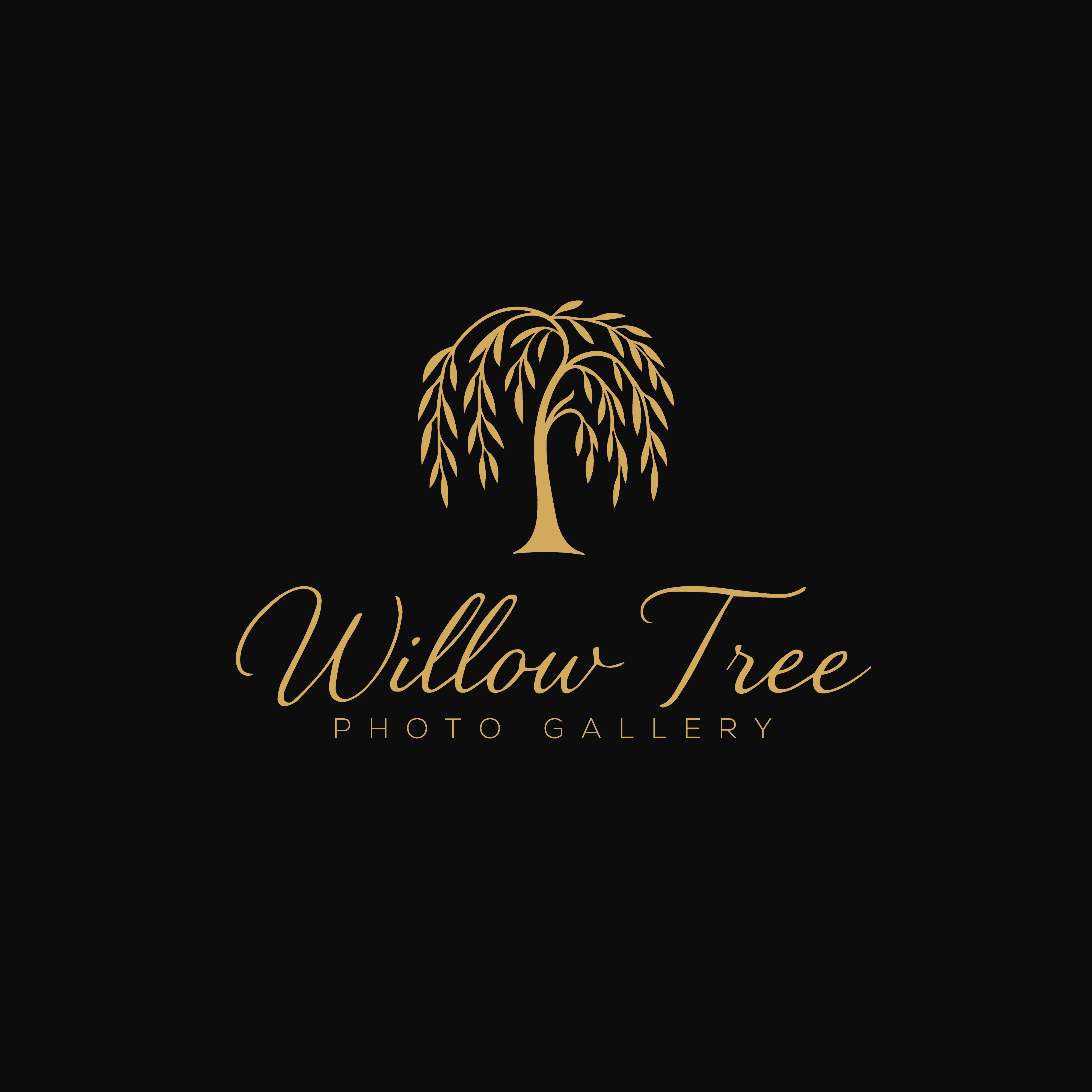 Logo Design by Casey Kelechi for this project | Design #36432510