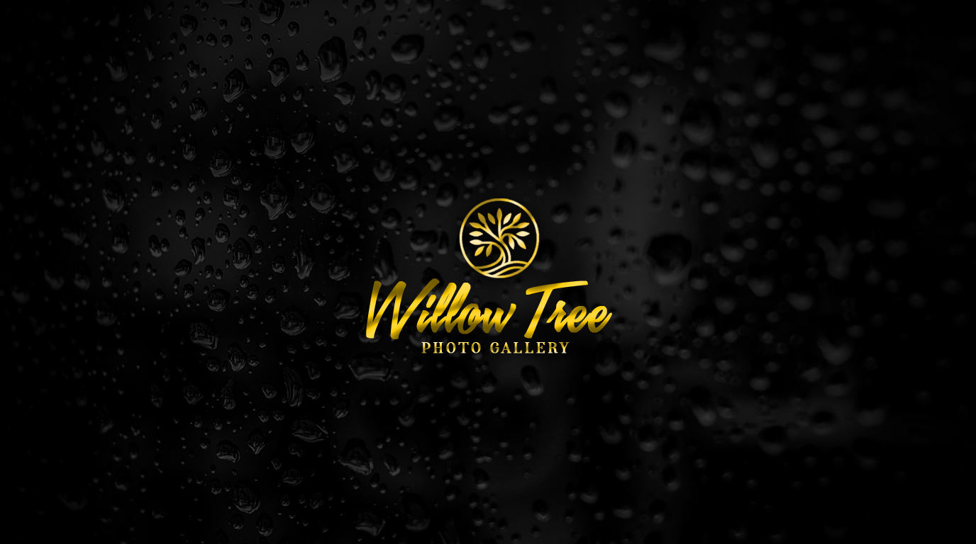 Logo Design by "DesignsWorld" for this project | Design #36448403