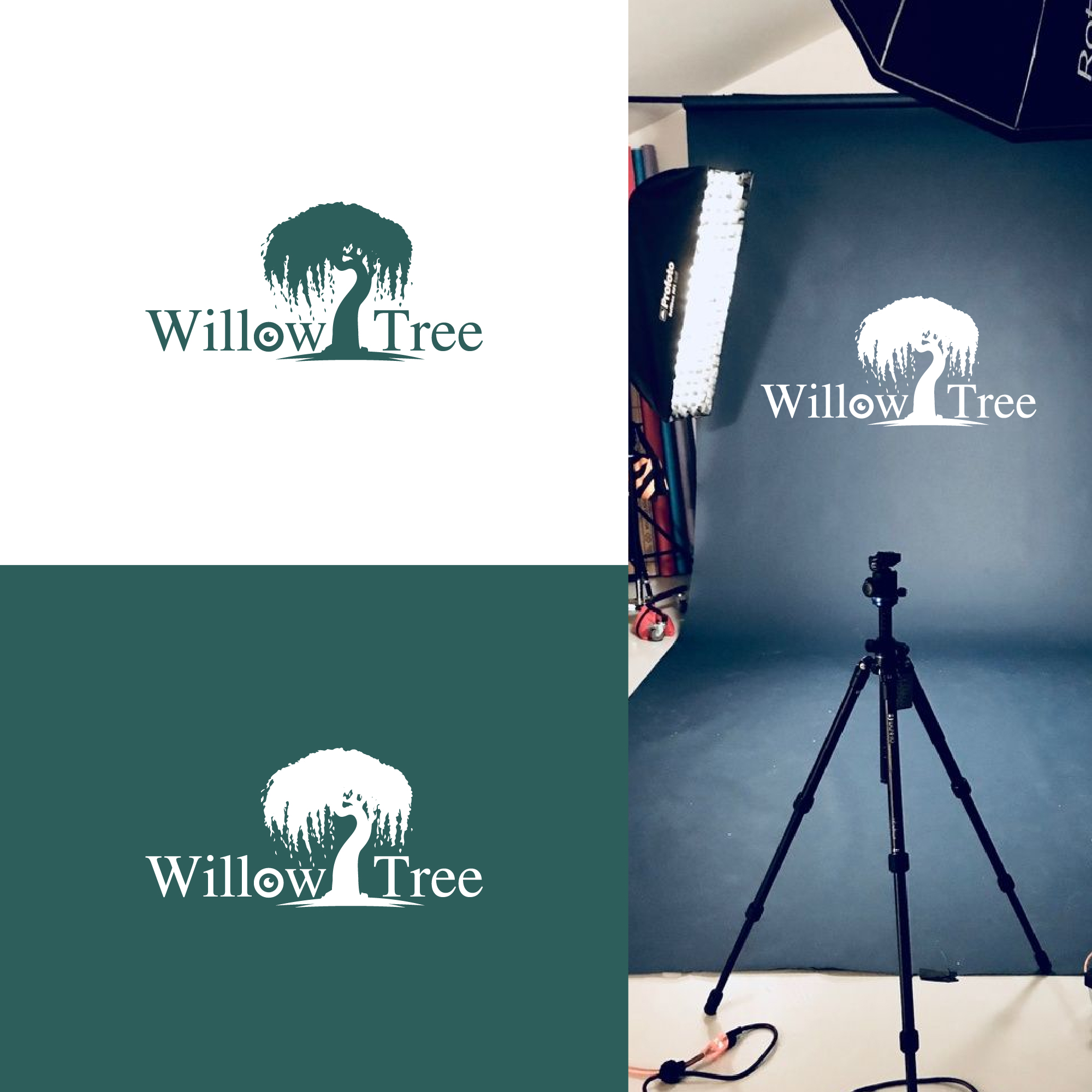 Logo Design by Deziners Zone for this project | Design #36429006