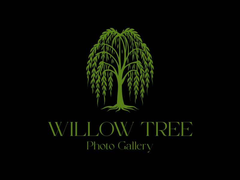 Logo Design by dclawstudio for this project | Design #36453174