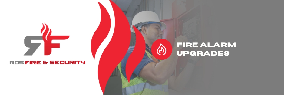 Email Marketing Design by NZ Creatives for this project | Design #36435908