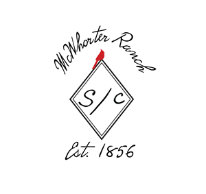 Logo Design by Onse Officials