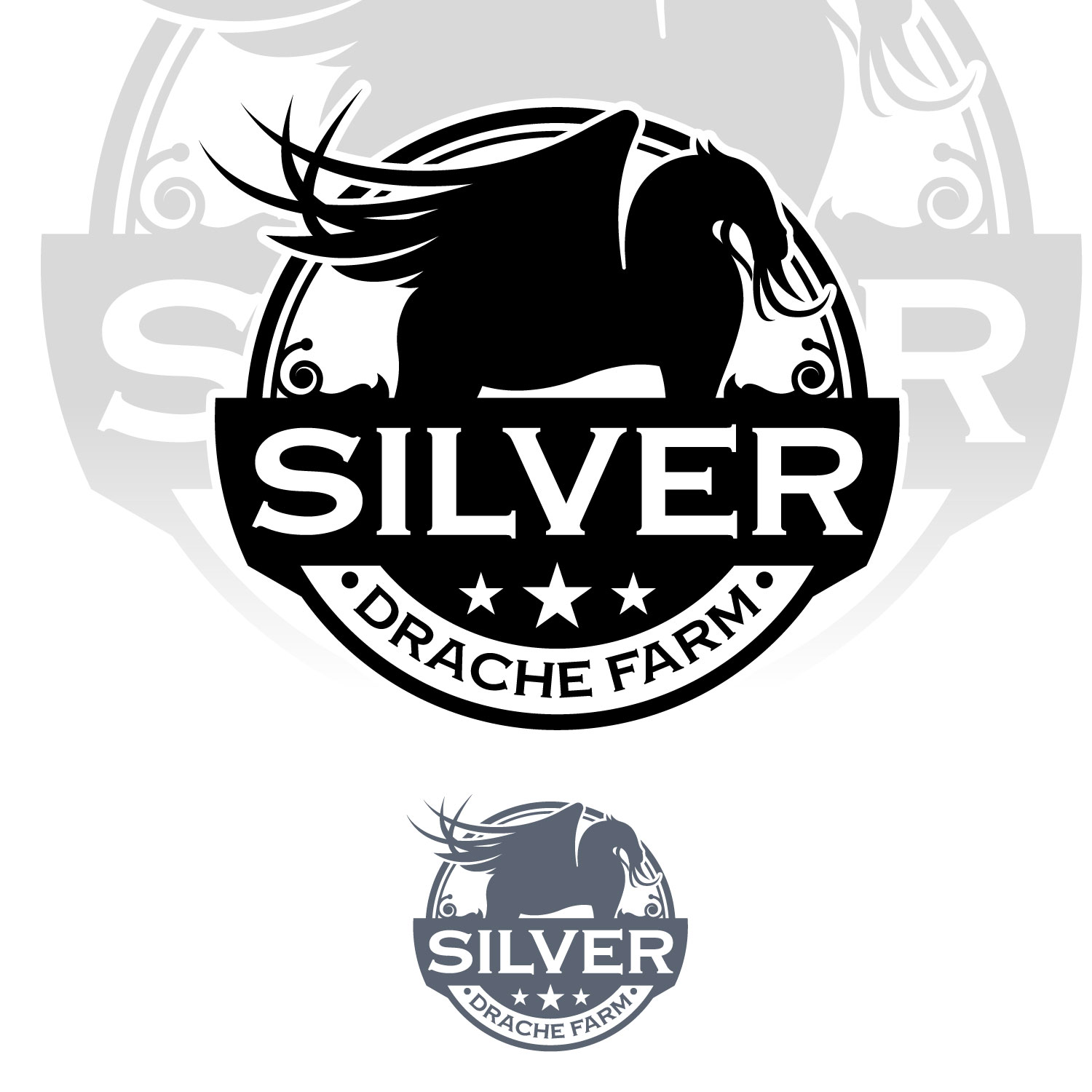 Logo Design by Suvendu.S for this project | Design #36433507