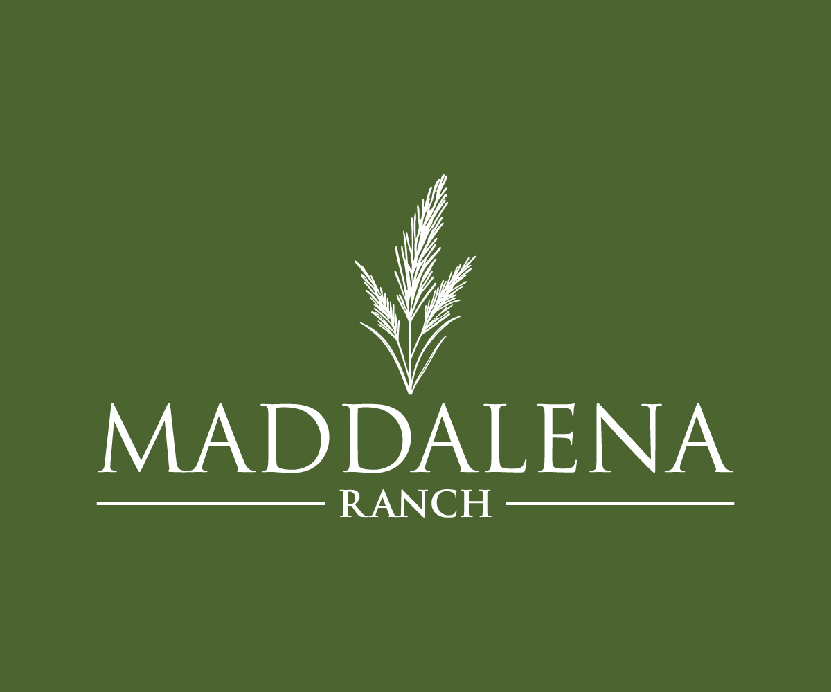 Logo Design by Adi Graphics for this project | Design #36453487