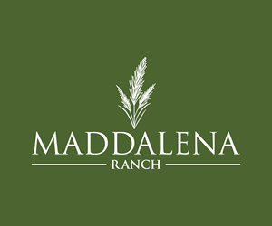 Logo Design by Adi Graphics for this project | Design: #36453487