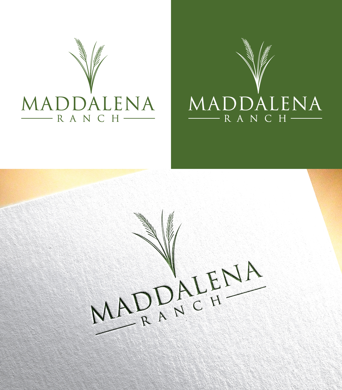 Logo Design by sol design2 for this project | Design #36450545