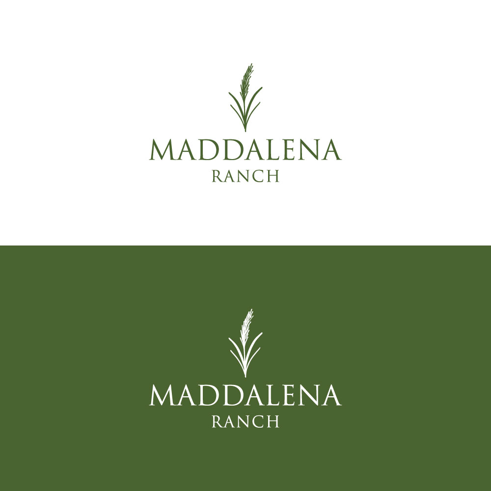 Logo Design by LogoEon for this project | Design #36448178