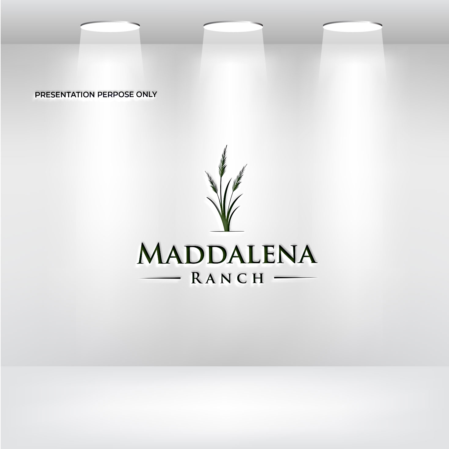 Logo Design by RS_Design for this project | Design #36447547