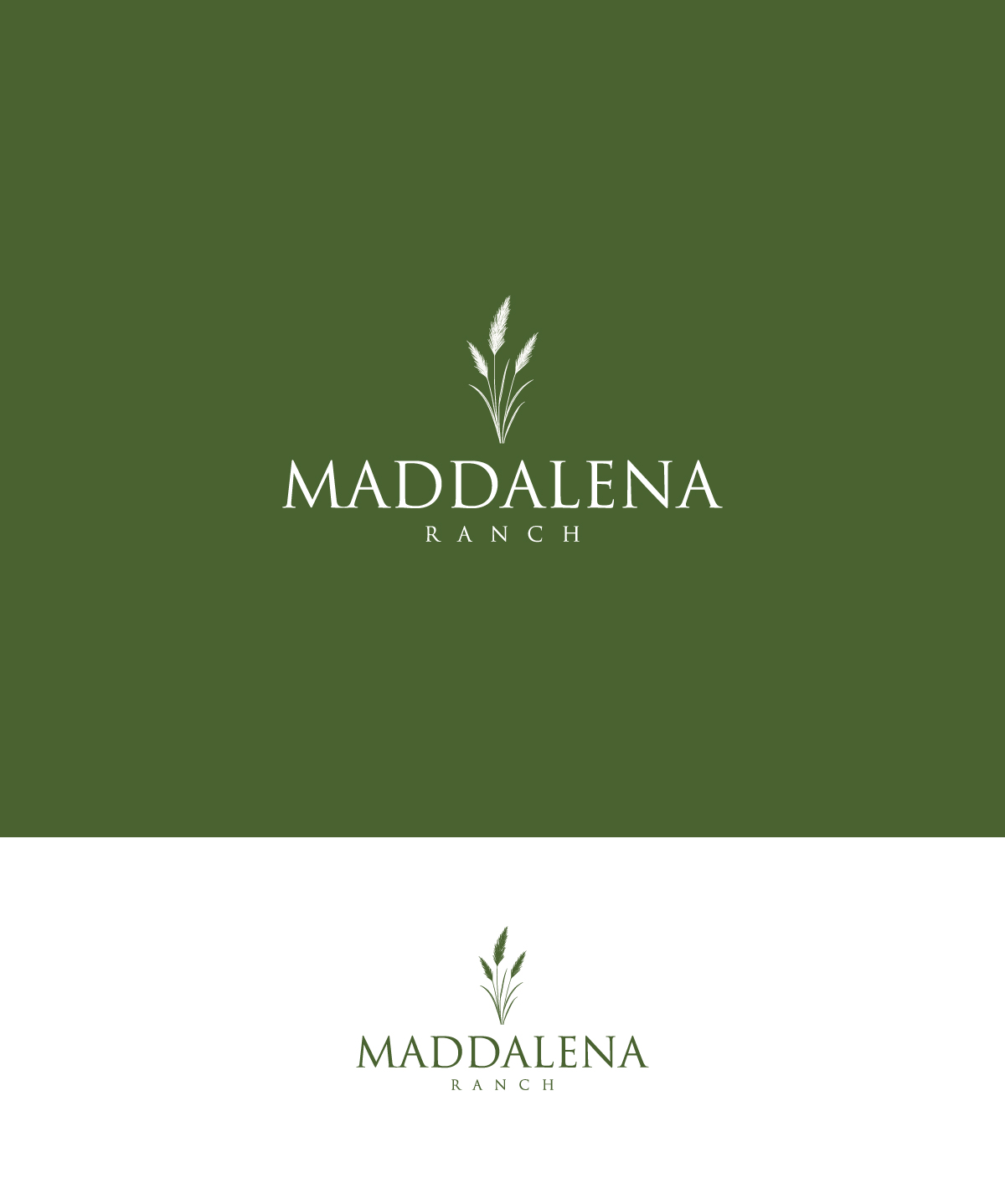 Logo Design by Designzz. for this project | Design #36451772