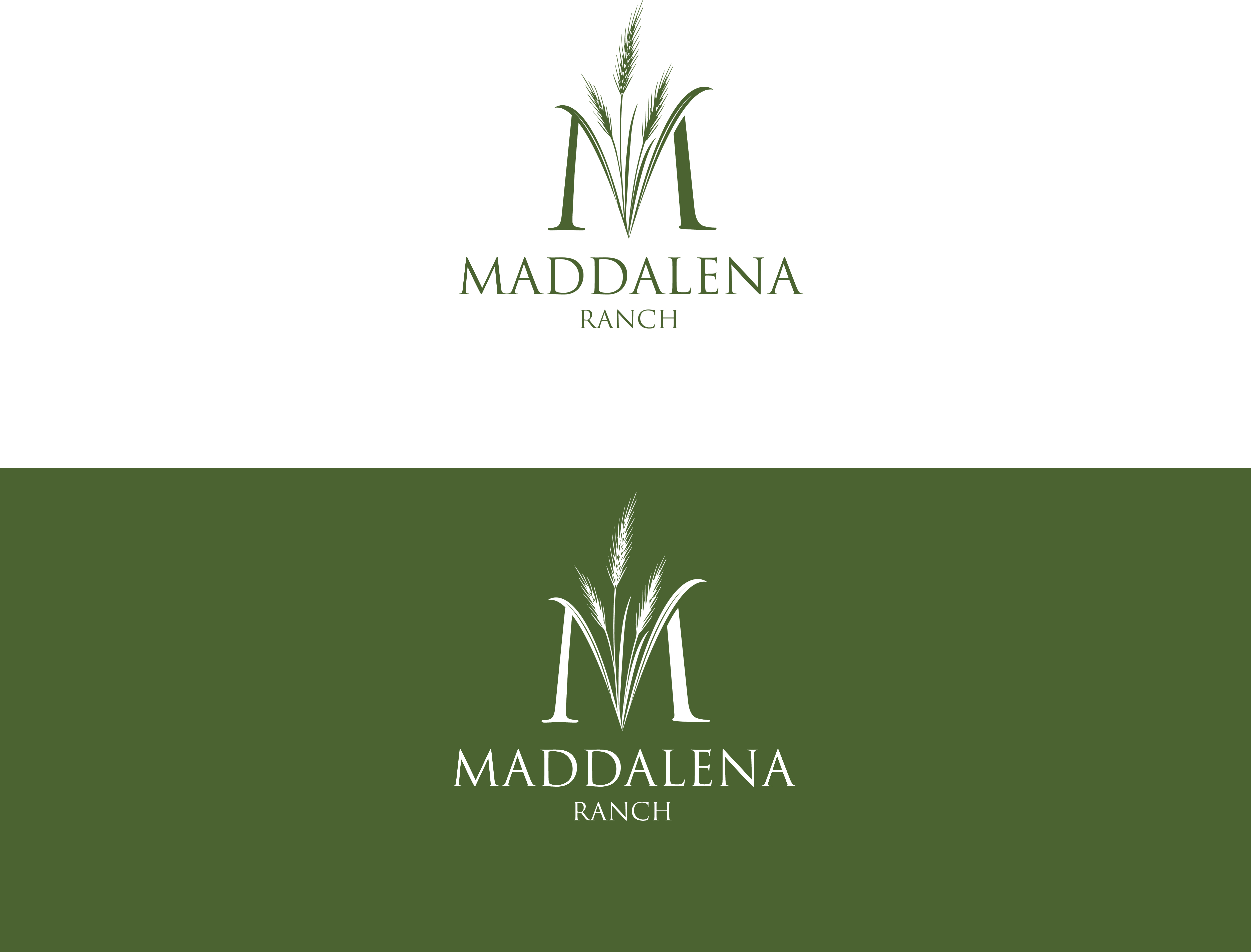 Logo Design by Graphixpointt for this project | Design #36450064