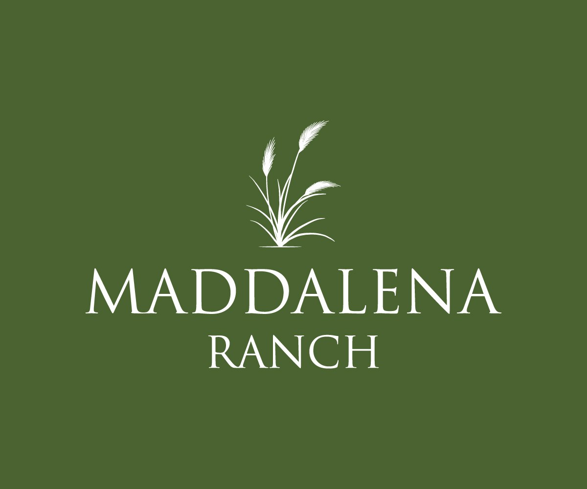 Logo Design by MHdesignM for this project | Design #36454315