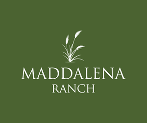 Logo Design by MHdesignM for this project | Design: #36454315