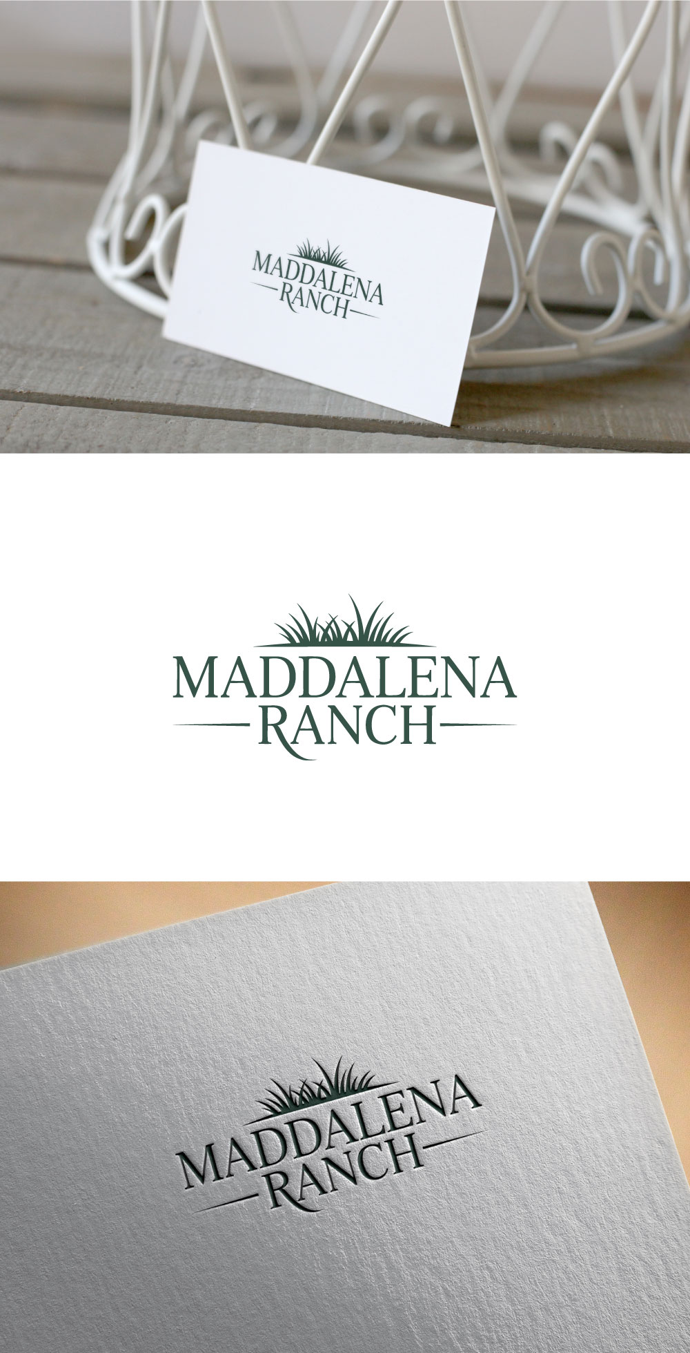 Diseño de Logo por KING JM para este proyecto | Diseño #36448174