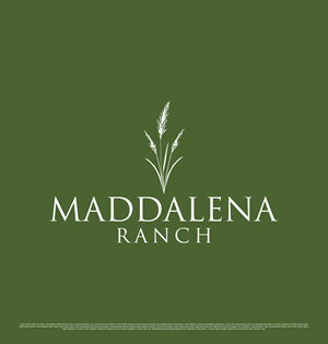 Logo Design by saesean for this project | Design: #36458203