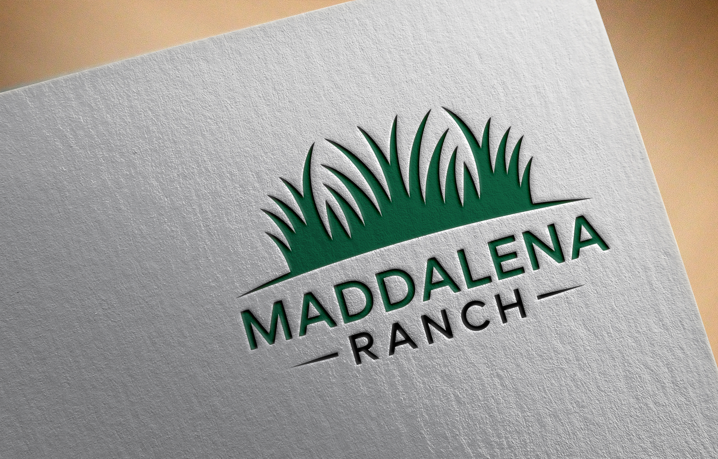 Diseño de Logo por Robi-The Child para este proyecto | Diseño #36455884