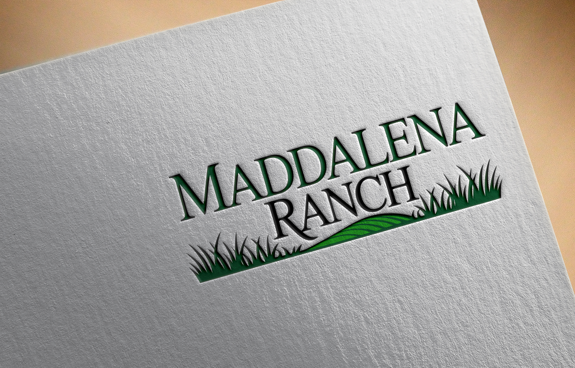 Diseño de Logo por Robi-The Child para este proyecto | Diseño #36455886