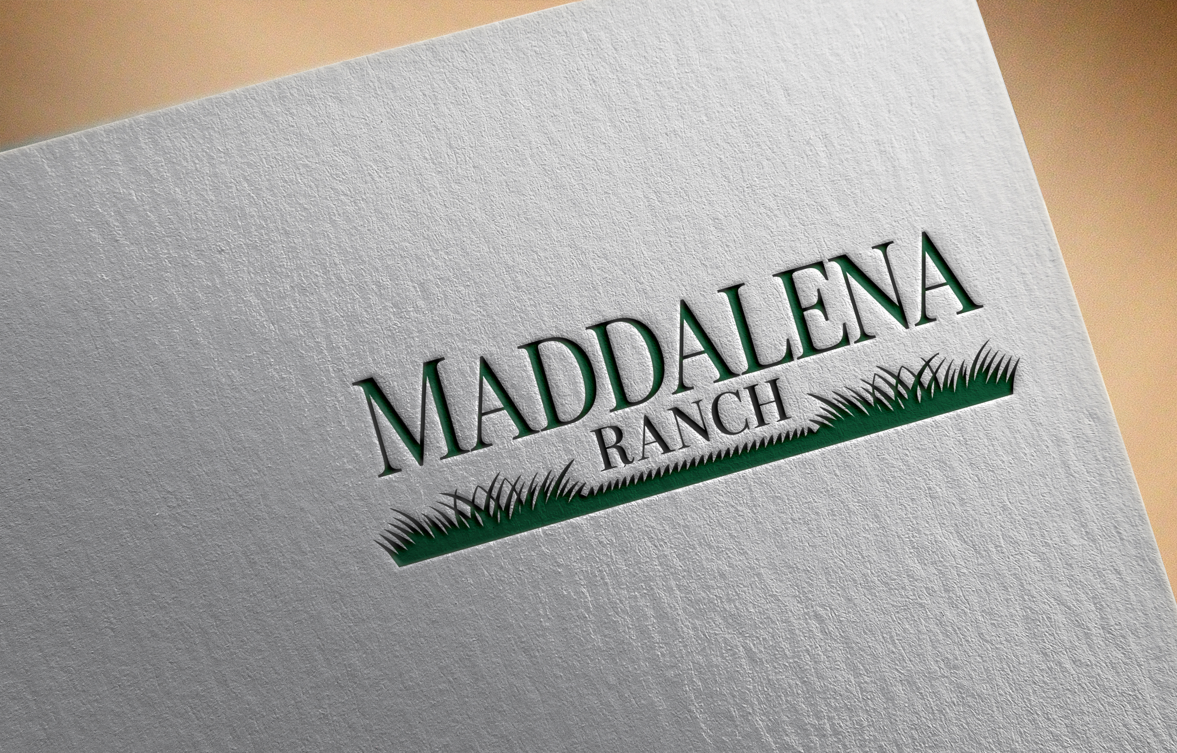 Diseño de Logo por Robi-The Child para este proyecto | Diseño #36455891