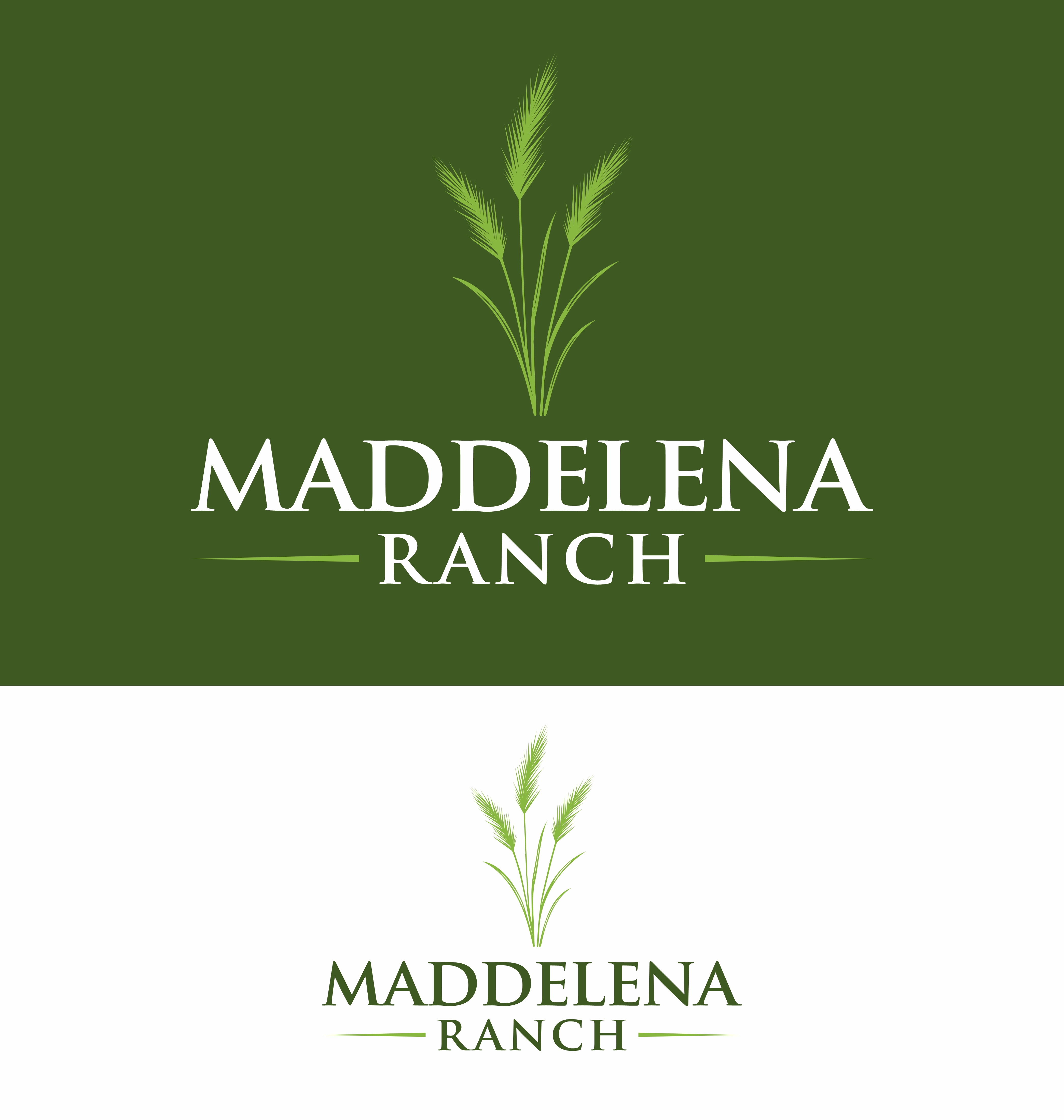 Logo Design by Mozez32 for this project | Design #36497204