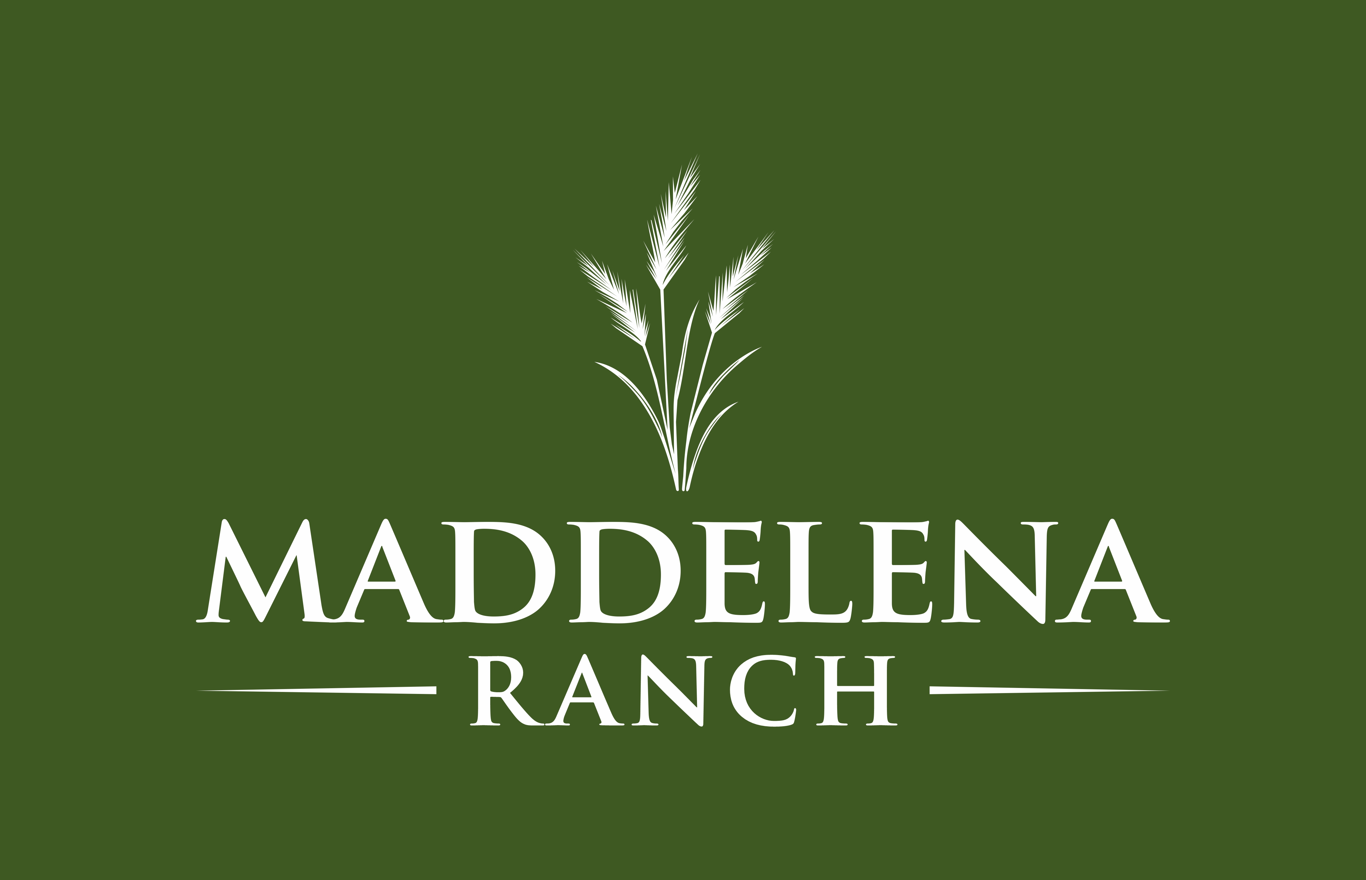 Logo Design by Mozez32 for this project | Design #36499258